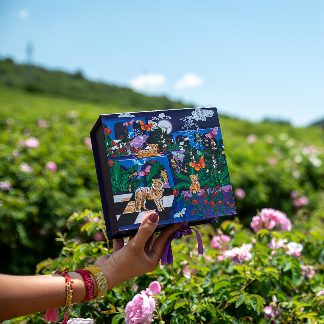 Mer & Dic Pan ve Panacea Krem 2'li Set